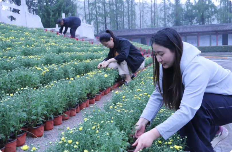 局部截取_20250928_093022.png
