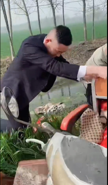 局部截取_20260415_084323.png