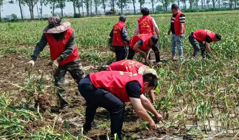 局部截取_20260527_083017.png